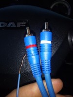 Blaupunkt DAF 105 - Brak dźwięku z subwoofera aktywnego przez chinche