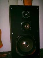 Soundwave R-1400. Czy będzie dobry do uniwersalnego używania?