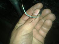 Audi A6 2001 1.8T AJL - schemat elektryczny do swapa do Corrado, brakujące wtyczki