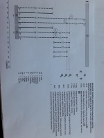 VW Passat B8 Hook Installation: CAN Connection, PINs 16 & 17, Kufatec.de Wiring Bundle