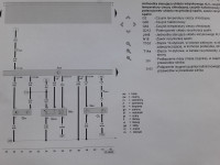 Schemat obwodu prędkościomierza i EGR w Seat Leon 1.6 16V 2003 ECU Magneti Marelli