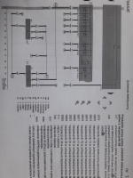 VW Passat B6 2.0TDI BKP 2006 - Grzanie świec żarowych