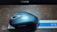 Buying a computer mouse for a large hand (I know, funny topic)