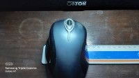 Buying a computer mouse for a large hand (I know, funny topic)