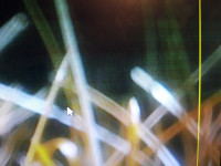 Wykaz kondensatorów elektrolitycznych w monitorze Acer S232HL