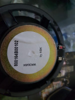 Zielony i czarny kabel w Audi a6c6 2004 - identyfikacja plusa na głośniku