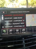 Peugeot 208 Original Navigation Installation: Plug & Play or Modifications Needed?