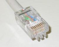 Jak założyć internet kablowy w wynajmowanym mieszkaniu? UPC, Netia, Alfa