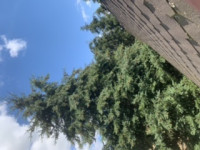 Brak sygnału oprócz MUX8, zbiornik Jeziorsko, łódzkie