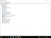 Windows 10 Resolution Stuck at 1024x768 - Unable to Change in Settings/Graphics Card