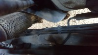 Polo 1.4 TDI 2005 AMF 75HP vibration and hum 1400-2000rpm, clutch damper issue?