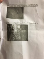 Bee*r Rev limiter - Szukanie sygnału rpm silnika 1.8t