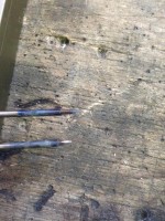Best Practices for Sharpening Gold 2.4 Tungsten Electrodes for TIG AC Welding