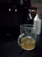 Krups EA8250 Coffee Machine: Water Leak near Spouts, Warranty Claim, Factory Test Issue & Video