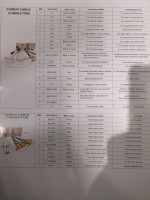 Connecting Chinese DVD Player 2 Din to Seat Altea XL 2007: ILL, PARKING, KEY1, KEY2/CANTX Wires