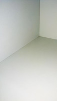 Worms in kitchen cabinets, food ...