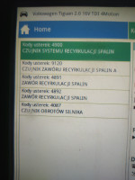 VW tiguan CFFB - Nowy oryginalny EGR i te same objawy.