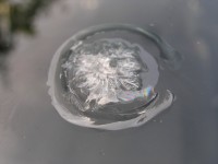 Skoda Fabia 2003 - naprawa przedniej szyby. Klejenie ? A może wymiana ?