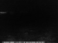 Denver WCM-8010 Camera Trap: Troubleshooting MMS & Email Issues, Activation Codes & Setup