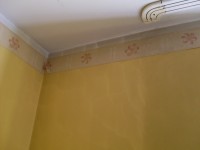 Dealing with Cracked Walls in Newly Built Block - Renovation Strategies and Compensation Rights
