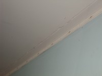 Dealing with Cracked Walls in Newly Built Block - Renovation Strategies and Compensation Rights