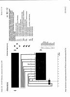 Schemat silnika AJH do Seat Alhambra 1.8T - przekładka i instalacja