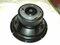 ESX DS126 30cm 500W - opinie