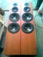 Projek kolumn na Tesla i tonsil