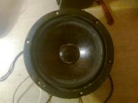 Zablokowana membrana w głośniku samochodowym