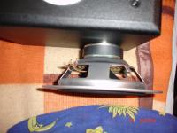 Tonsil Fenix I, dobry wybór w dobrej cenie