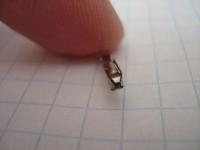 [1.9] Jaki konektor do ECU 121 pin 1.9 TDI Sharan do montażu tempomatu?