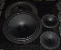 Wymiana,naprawa głosniczków.Jakie?