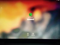 Mac Book Pro Apple - Experiencing Overheating and Screen Stripes: Repair or Replace?