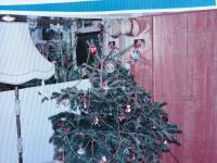 Samsung CLP-620ND - po regeneracji drukuje jakieś paski,i nierównomiernie