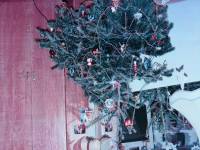 Samsung CLP-620ND - po regeneracji drukuje jakieś paski,i nierównomiernie