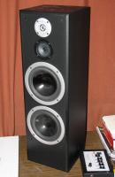 Tonsil Zgc 100-8-24 - jakie parametry?