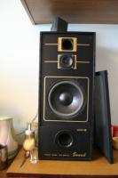 Głośniki do Diora WS 354A