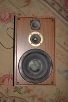 Stare kolumny z Tonsilami, odnowa...