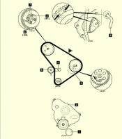 ustawienie rozrządu Ford Transit 1990
