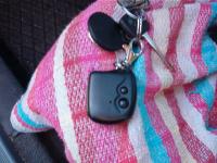 szukam instukji alarmu ampio(foto)