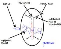 Obudowa termometru - z czego zrobić?