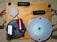 Tonsil Fenix / Mistral front