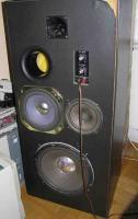 Jakie głośniki niskotonowe do kolumn 100x45x35cm z wzmacniaczem NE112 80W RMS?