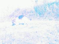 Uszkodzony aparat cyfrowy