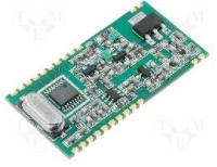 Transmisja obrazu na duże odległości w czasie rzeczywistym