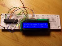 Atmega8 + LCD (RC1602B) + Bascom - Wyświetlacz nie reaguje