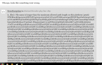 Error in page "Whoops, looks like something went wrong" on attempt