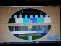 Samsung type-BP23EO model - LE23R81B swarm image with no colors.