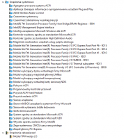 ASUS P2540UA Windows 10 - Persistent High CPU Usage by 'System Interrupts' Process
