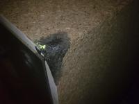 Jak wzmocnić i odnowić obudowę kolumn New Mildton 200 (Tonsil)?